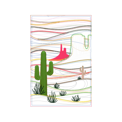 Cactus Flowers Cactus Flowers