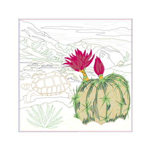 Drawing Flowers Drawing Flowers