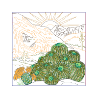 Illustration Flowers