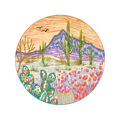 Illustration Flowers Illustration Flowers