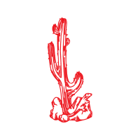 Illustration Flowers