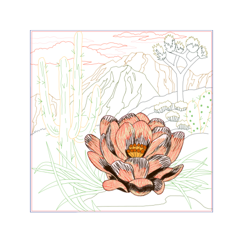 Mtn Group Flowers Mtn Group Flowers