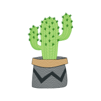 Prickly Pear Flowers