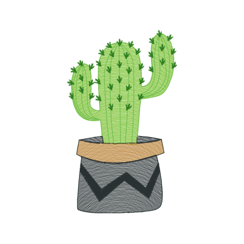 Prickly Pear Flowers Prickly Pear Flowers