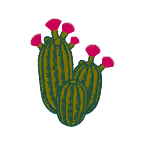 Prickly Pear Flowers Prickly Pear Flowers