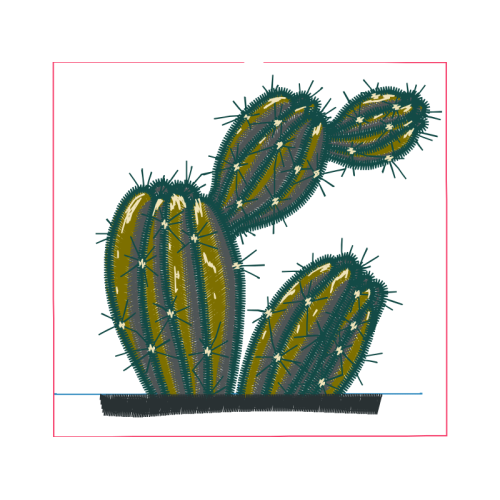 Prickly Pear Flowers Prickly Pear Flowers