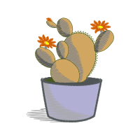 Prickly Pear Flowers