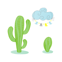 Prickly Pear Flowers