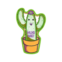 Triangle Cactus Flowers