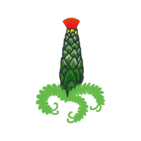 Triangle Cactus Flowers