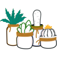 Triangle Cactus Flowers