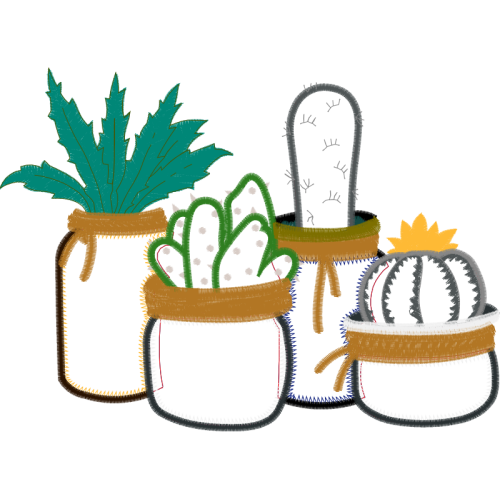 Triangle Cactus Flowers Triangle Cactus Flowers