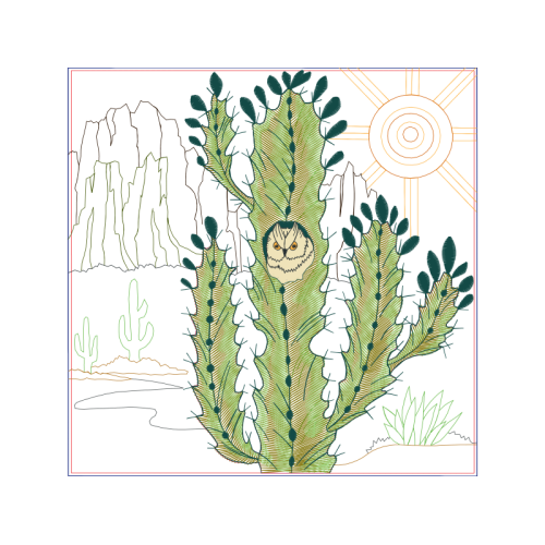 Triangle Cactus Flowers Triangle Cactus Flowers