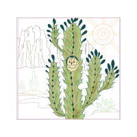 Triangle Cactus Flowers