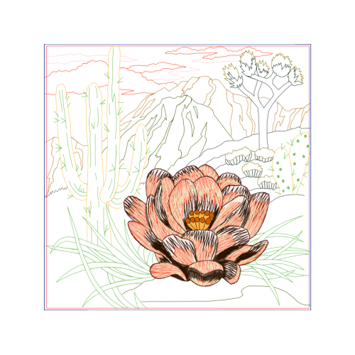 Tuberose Flowers Tuberose Flowers