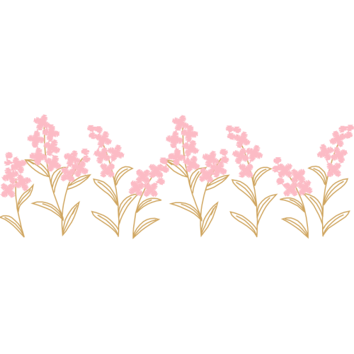 African Corn Lilies Flowers