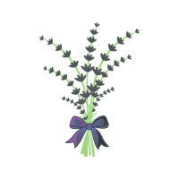 Aloe Day Spa Flowers