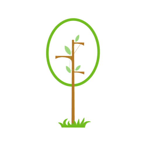 Art Flowers Art Flowers