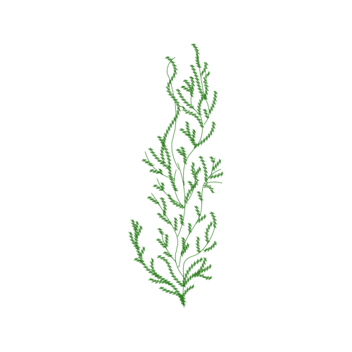 Art Flowers Art Flowers