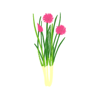 Art Flowers Art Flowers