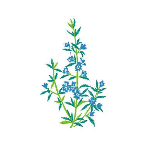 Art Flowers Art Flowers