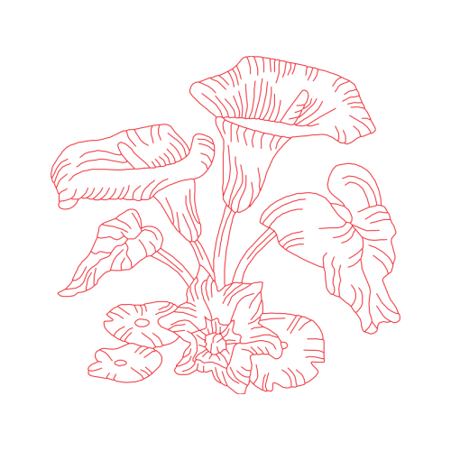 Art Flowers Art Flowers