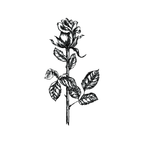 Art Flowers Art Flowers