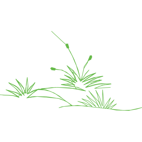 Art Flowers Art Flowers