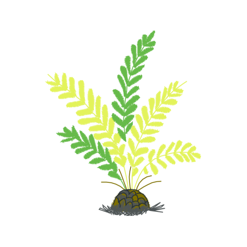 Art Flowers Art Flowers