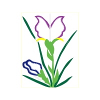 Arum Lilies Flowers Arum Lilies Flowers