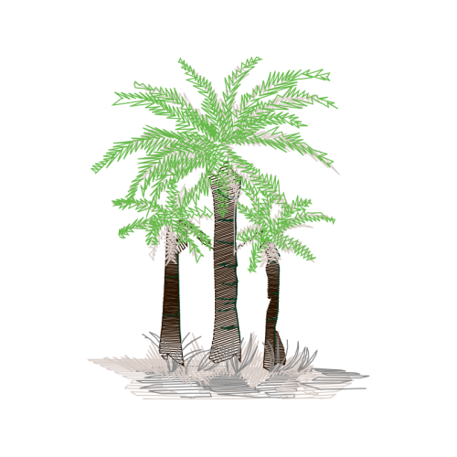 Babassu Flowers Babassu Flowers