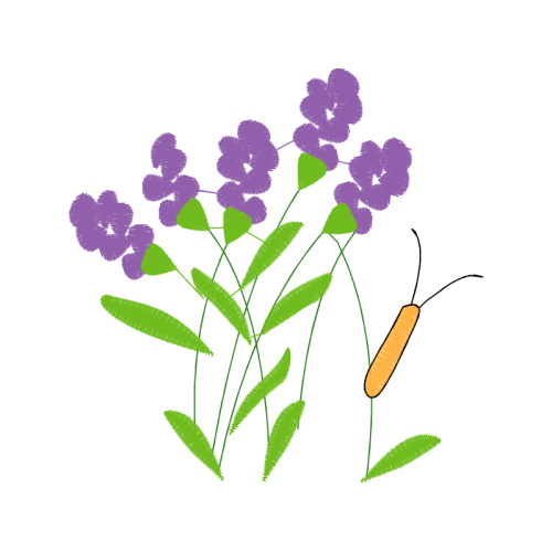 Butterfly Bush Flowers Butterfly Bush Flowers