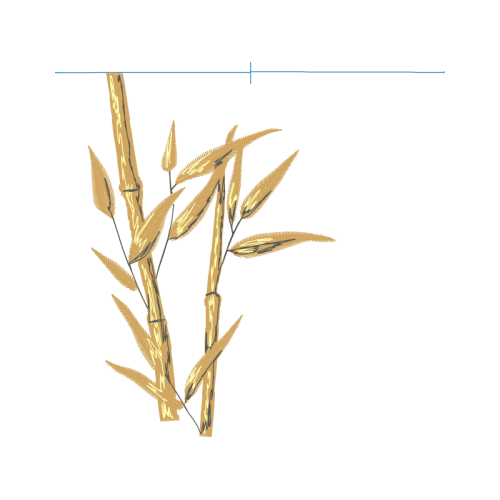 Caulerpa Flowers Caulerpa Flowers