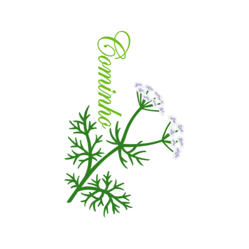 Chamomile Flowers Chamomile Flowers