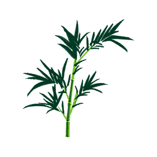 Chamomile Flowers Chamomile Flowers