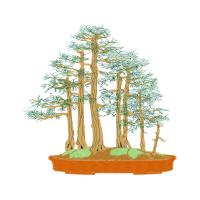 Chinese Sweet Plum Flowers Chinese Sweet Plum Flowers