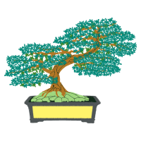 Chinese Sweet Plum Flowers Chinese Sweet Plum Flowers