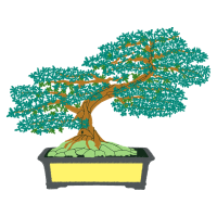 Chinese Sweet Plum Flowers Chinese Sweet Plum Flowers