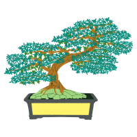 Chinese Sweet Plum Flowers Chinese Sweet Plum Flowers