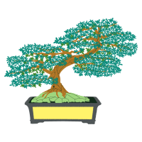 Chinese Sweet Plum Flowers Chinese Sweet Plum Flowers