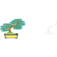 Chinese Sweet Plum Flowers Chinese Sweet Plum Flowers