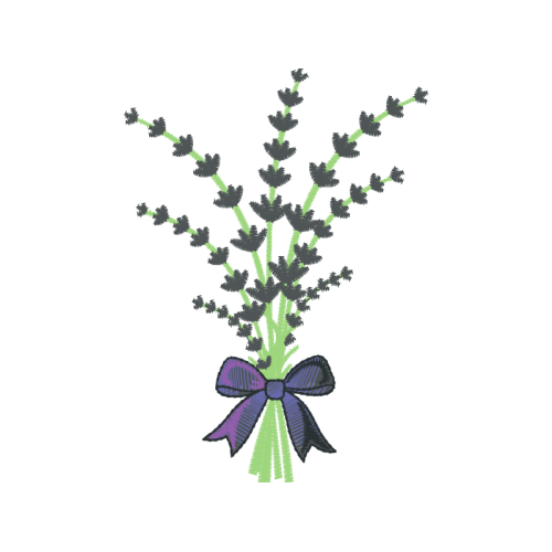 Chloraea Flowers Chloraea Flowers