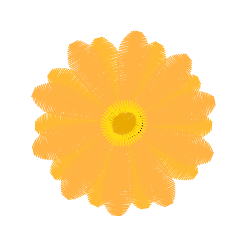 Chrysanthemum Flowers Chrysanthemum Flowers