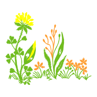Clip Art Flowers