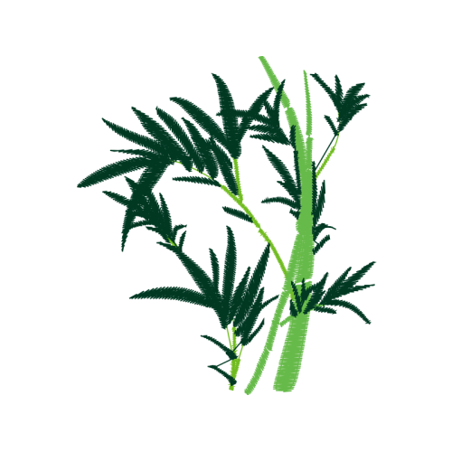 Common Reed Flowers Common Reed Flowers