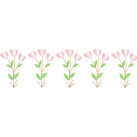 Costmary Flowers Costmary Flowers