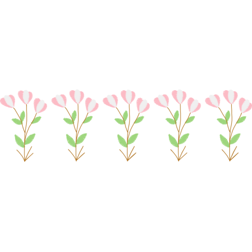 Costmary Flowers Costmary Flowers