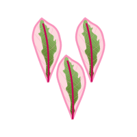 Cross Flowers Cross Flowers