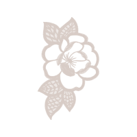 Dendrobium Flowers Dendrobium Flowers