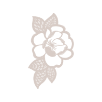 Dendrobium Flowers Dendrobium Flowers